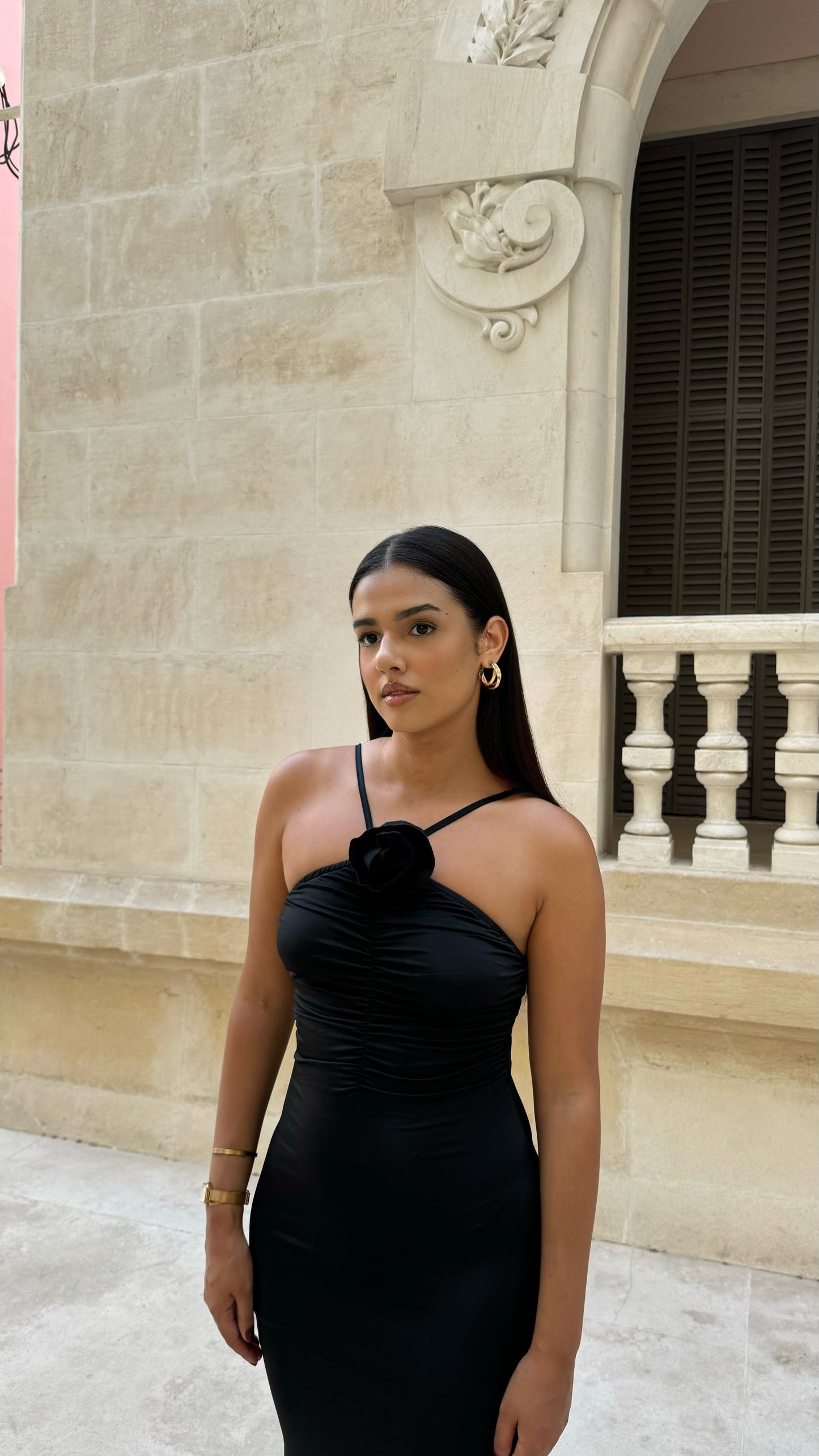Vestido Rose